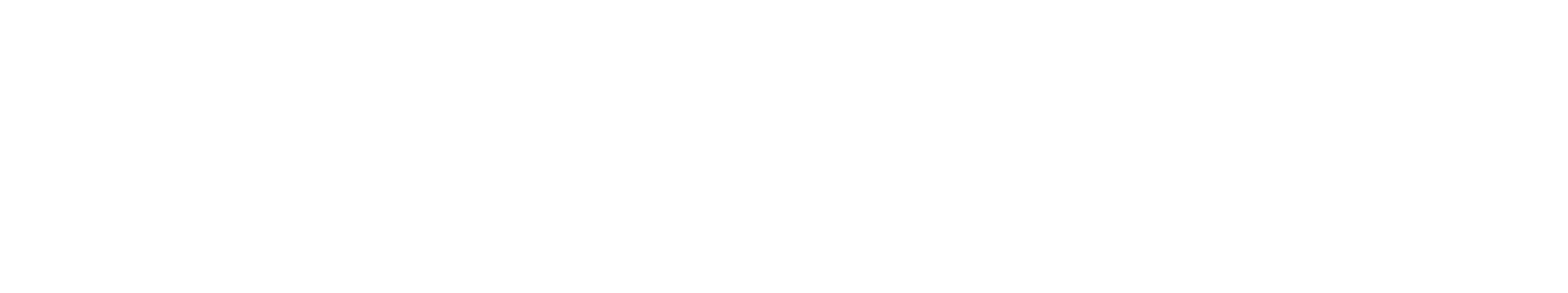 Flex Fitness Equipment logo